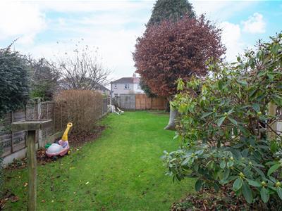 Picture 13